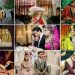 Islamic Wedding traditions